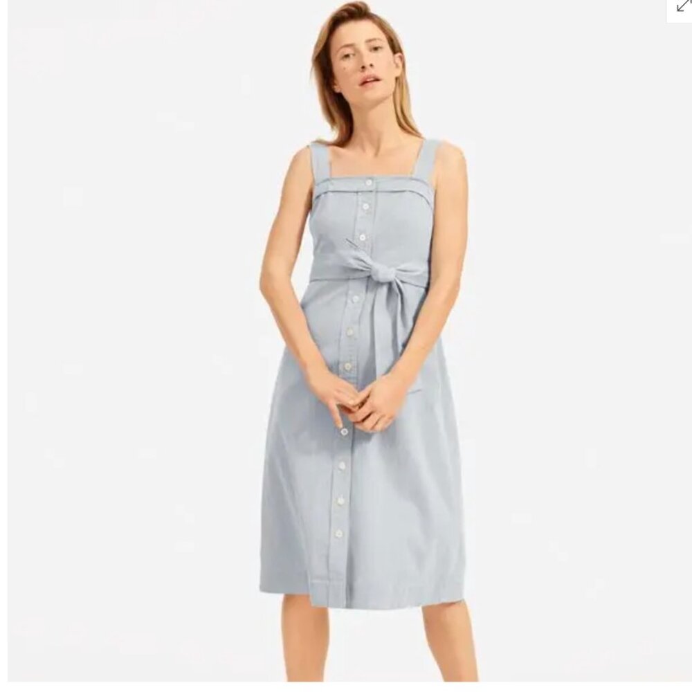 Everlane Cotton Button-Down Dress